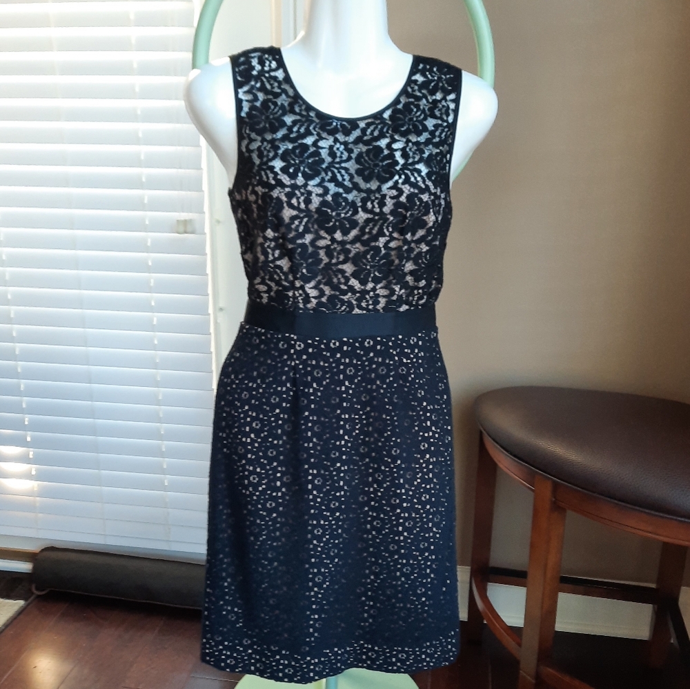 BCBGMaxAzria Alice Lace Black and Tan Dress - Picture 5 of 9